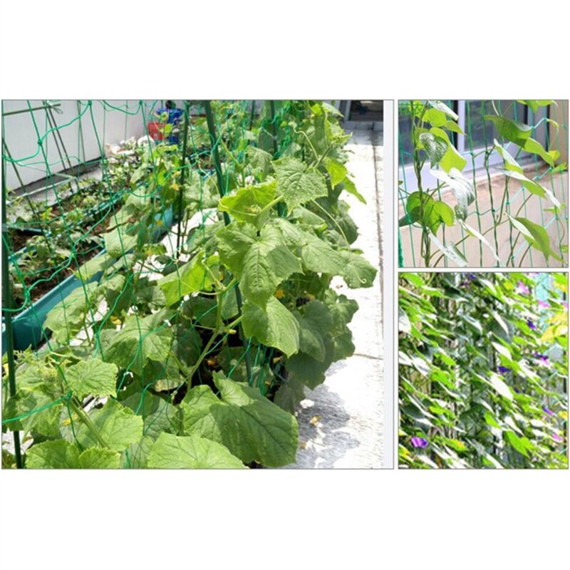 Durable Nylon Trellis Net Garden Netting Plant Support For Climbing Plants Vegetable Garden