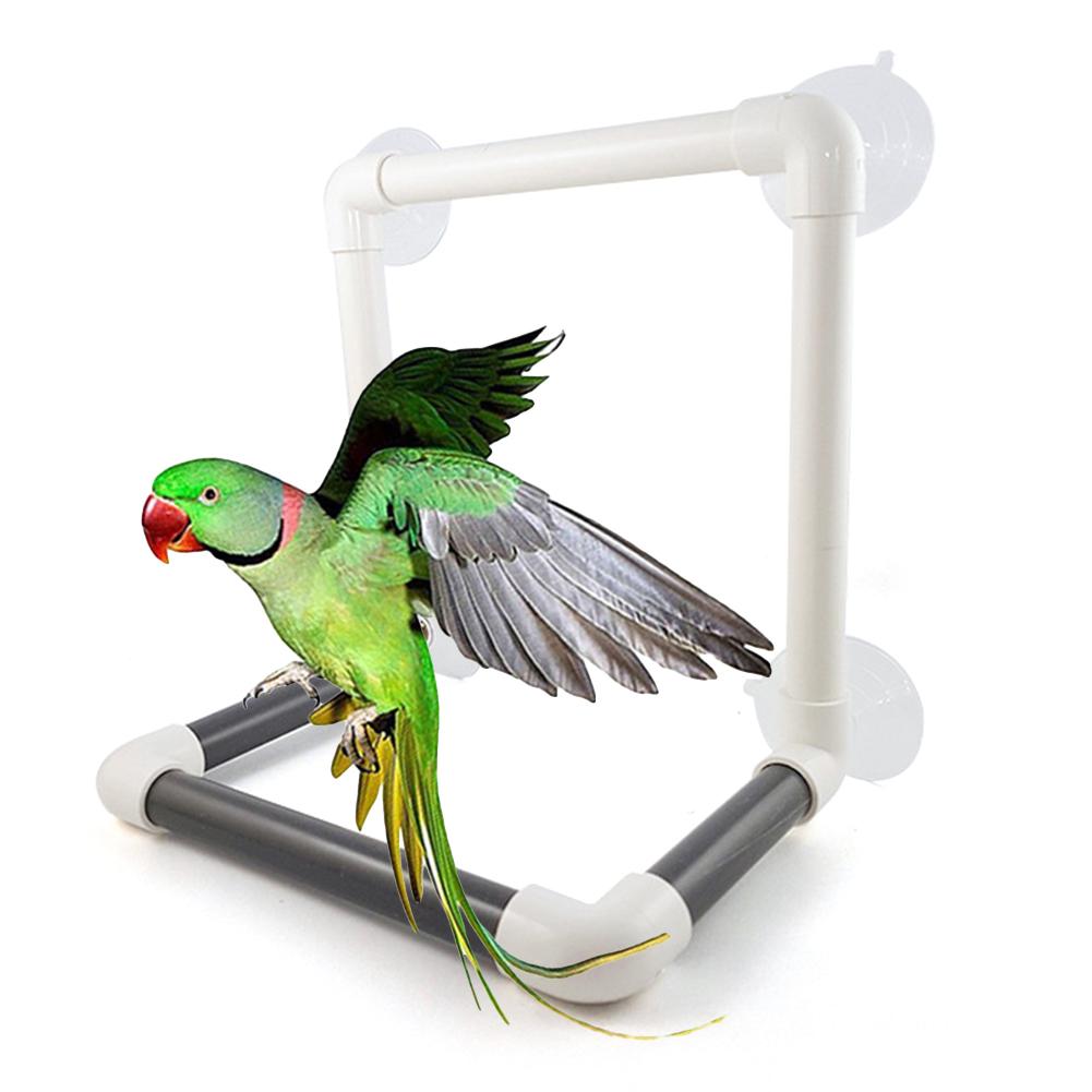 Fugle papegøje sugekop bruser aborre bur stående bar badning legetøj kæledyr forsyninger