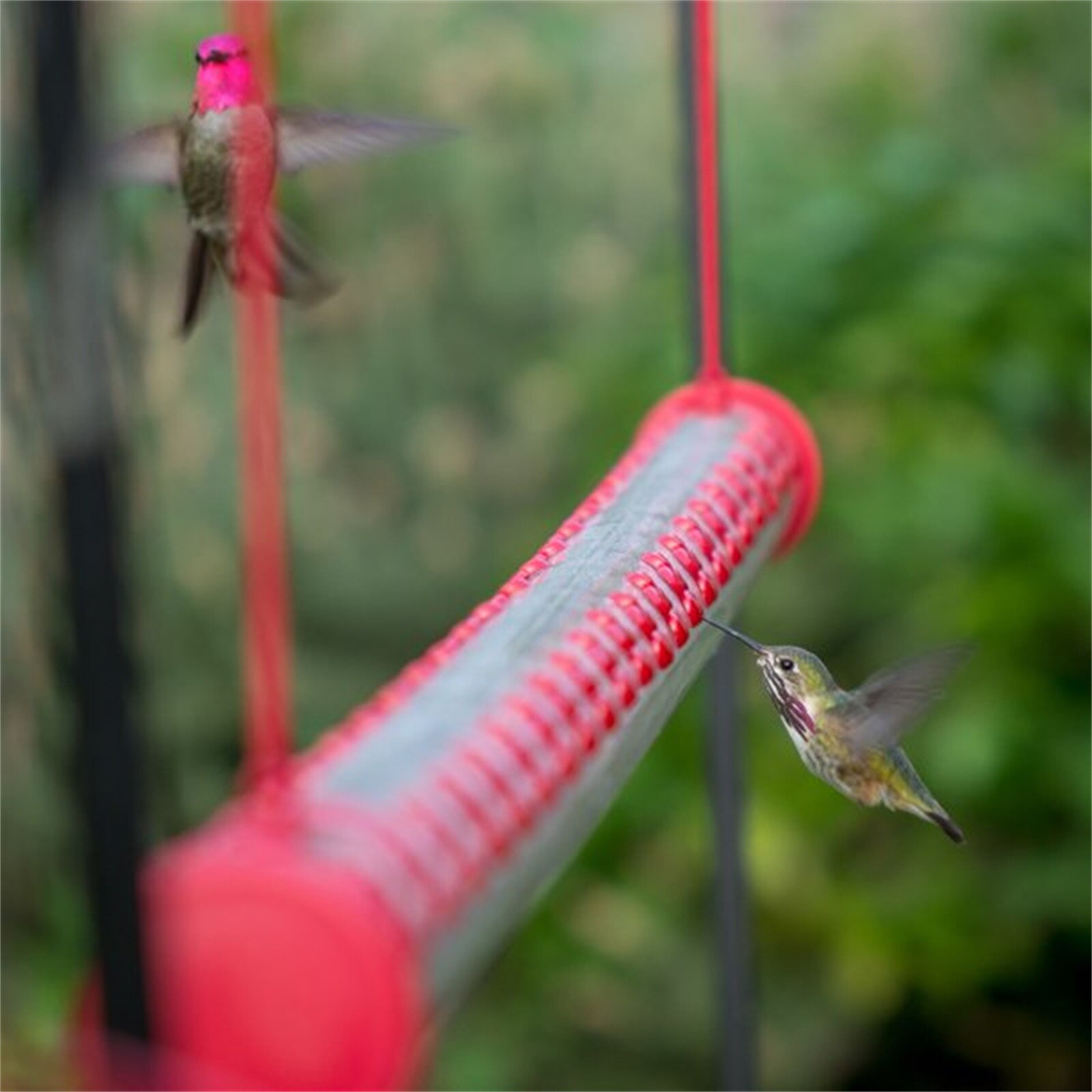 Best Hummingbird Feeder with Hole Birds Feeding Transparent Pipe Easy to Use Household Garden Feeding Supplies