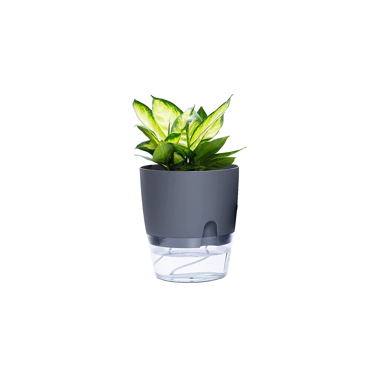 2 Layer Watering Planter Lazy Self Watering Pot Automatic Succulent Container for Flower Plant Indoor Supplies White Gray: gray 8.2cm