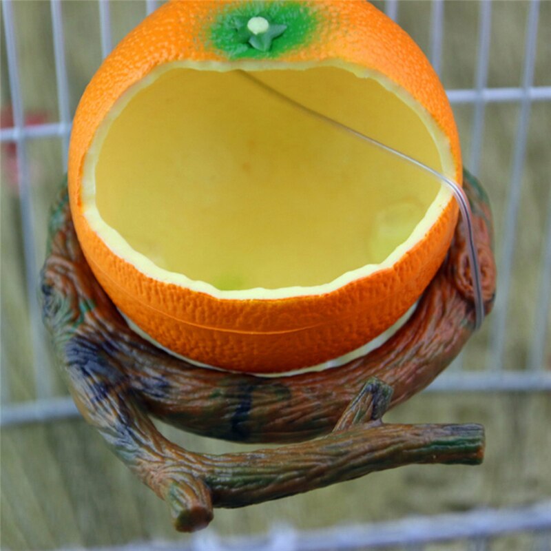 Funny Fruit Shape Bird Parrot Feeder Orange Pomegranate Food Water Feeding Bowl Container Feeders For Crates Cages Coop Pet