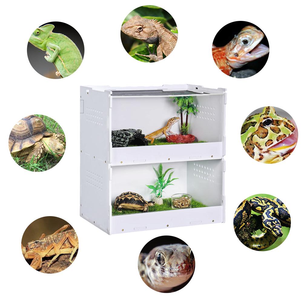 Boîte d'élevage de Reptile pour animaux de compagnie Double boîte d'élevage d'insectes serpent araignée lézard Scorpion mille-pattes boîte d'élevage
