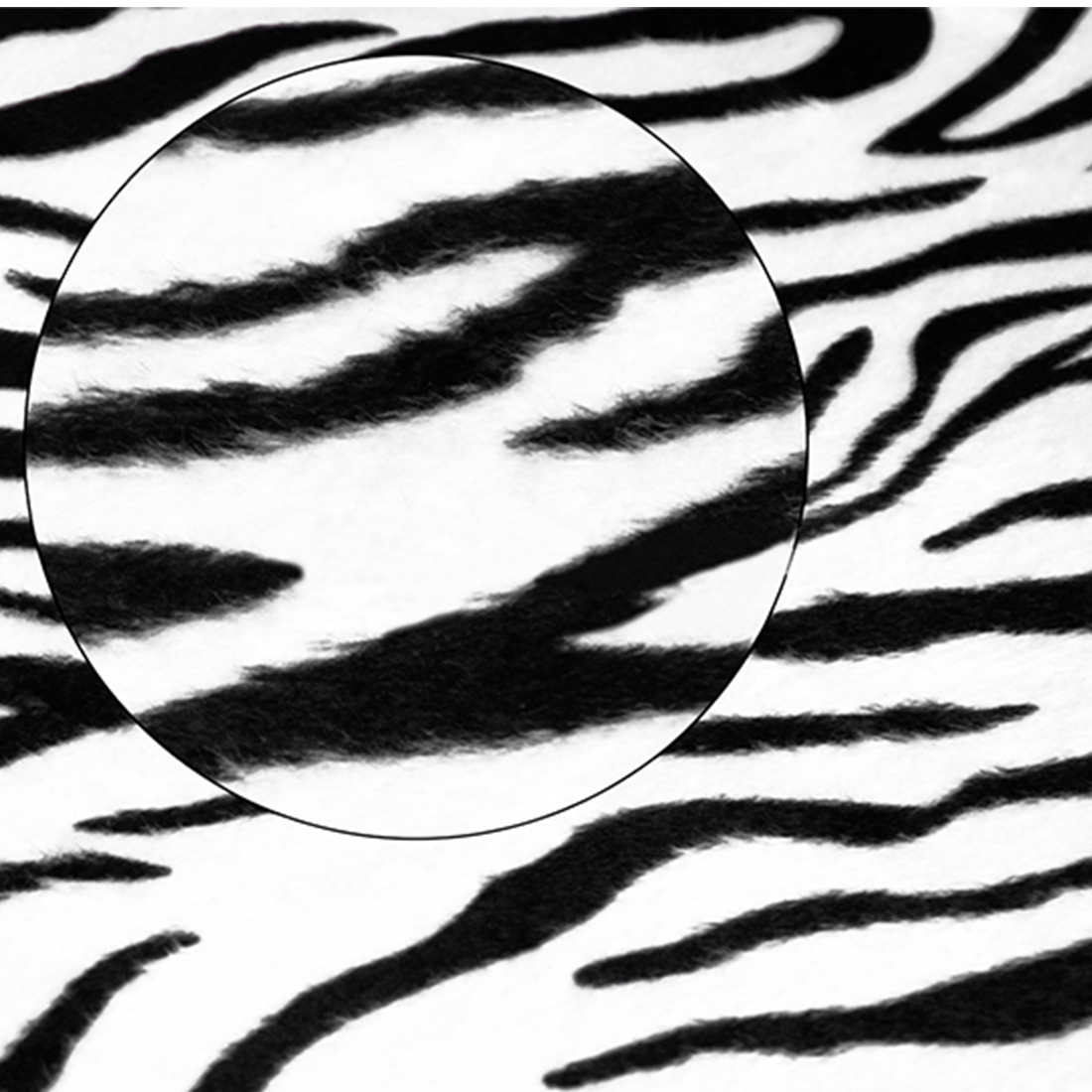 Dewtreetali zebra stripe universal bil forsete bilsete beskyttelsestrekk stoff passer til ikke-avtakbar hodestøtte racing styling