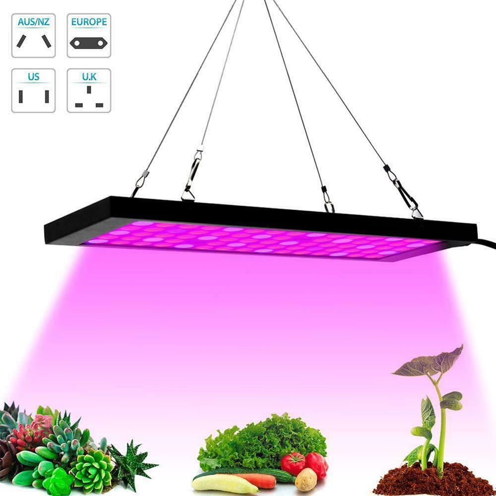 600W LED Grow Light Panel Fitolampy Full Spectrum Plant Lighting UV IR Indoor Hydroponic Grow Box Plant and Flower Growing Light