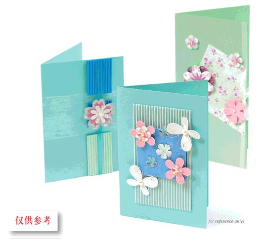 Eno Greeting complete scrapbooking diy card kit for beginner kids craft diy card making kit 6 cards and 6 envelopes: SKC03