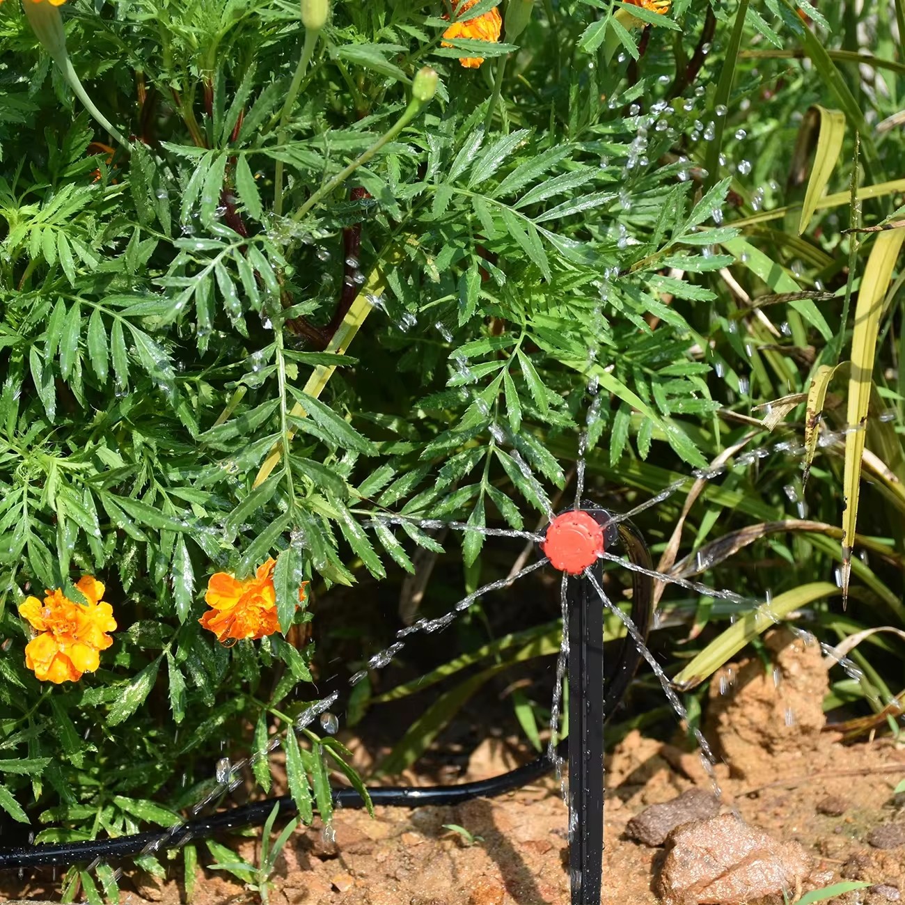 30-50M Automatische Kugelhahn Timer Garten Bewässerung Bewässerung System Outdoor Balkon Tropf Kits Einstellbare Düsen Gewächshaus