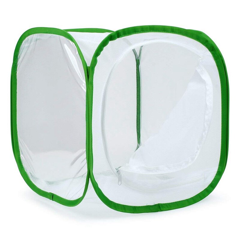 Terrario para jaula de insectos y mariposas, hasta 12x12x12 pulgadas (blanco + verde)