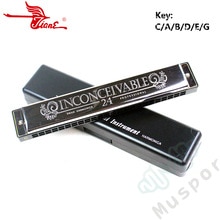 SWAN Tremolo Harmonica C/A/B/D/E/F/G/A#/C#/D#/F#/G# Key 24 Holes Silver Harp Mouth Organ Woodwind Musical Instruments with Case