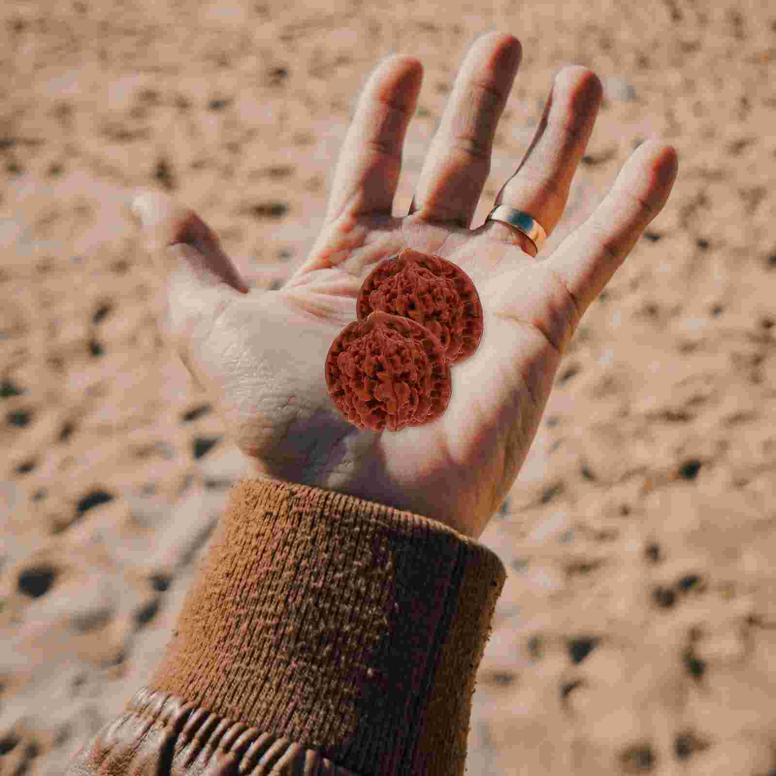 2Pcs Walnoot Ballen Handbal Training Wilde Walnoot Gezondheid Playthings