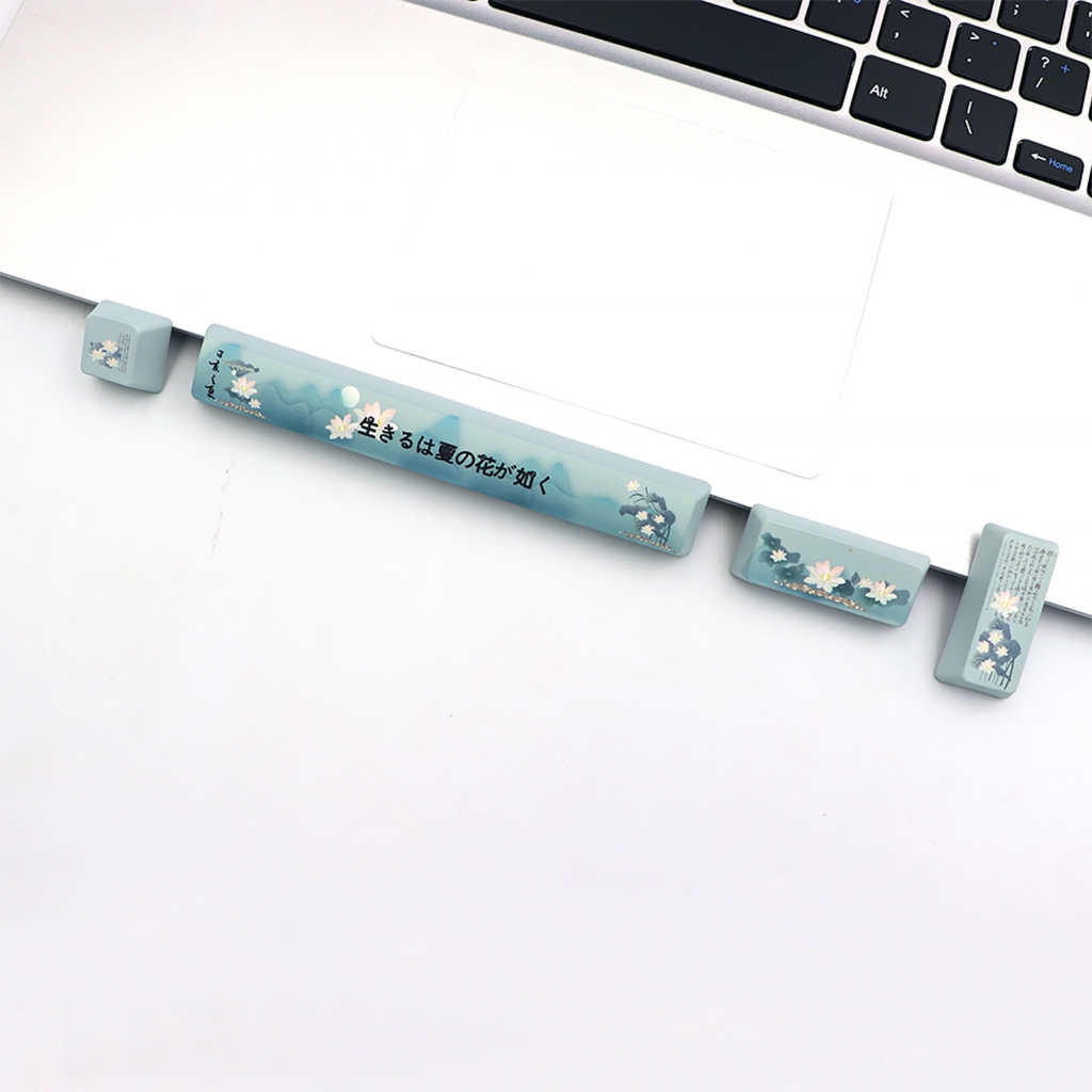 4-toetsen Esc Entre 6.25u spatiebalk Keycap vervanging PBT vijf zijden Dye-Subbed OEM profiel Keycaps voor mechanisch toetsenbord