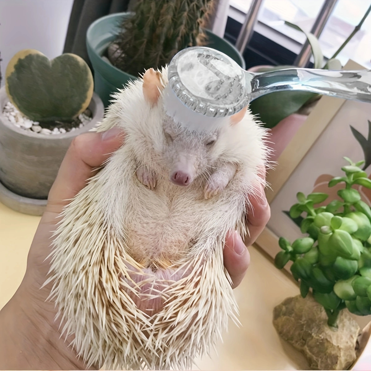 1 cepillo pequeño para hámster, cepillo de masaje de cerdas suaves, cepillo para peinar limpieza de hámster de pelo largo, Mini cepillo de baño