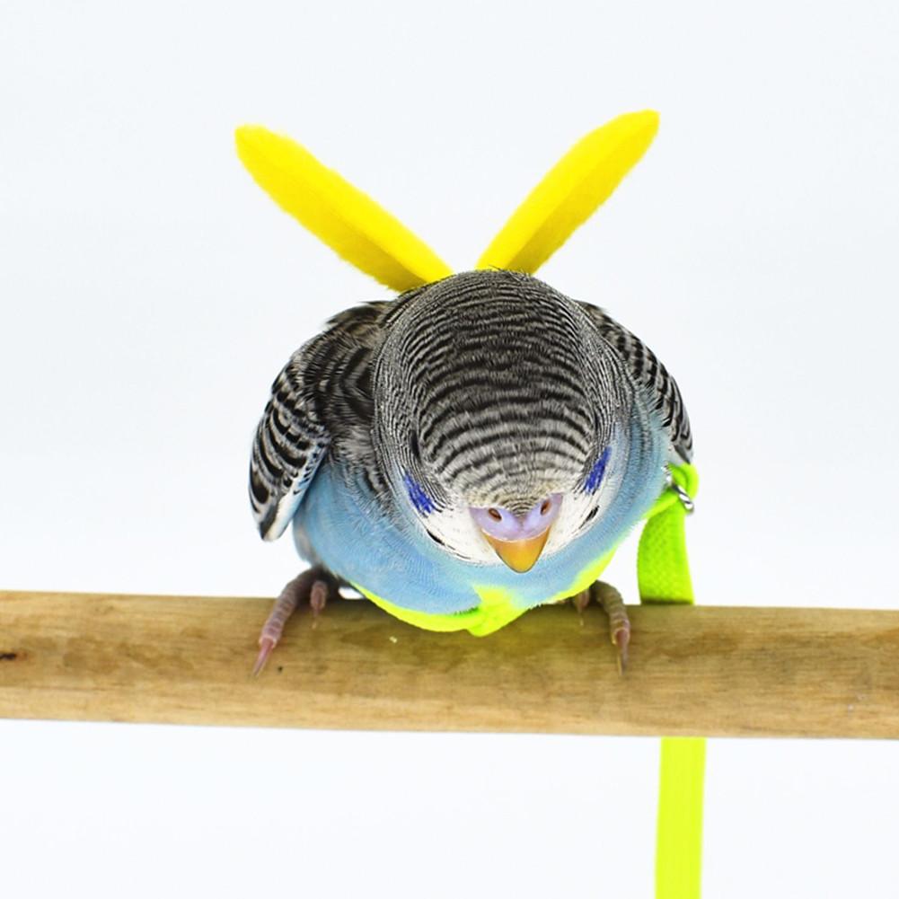 Papegaai Bird Harness Leash Vliegende Touw Bandjes Outdoor Training Trekkabel Voor Grasparkiet Dwergpapegaai Valkparkiet Kleine Vogels