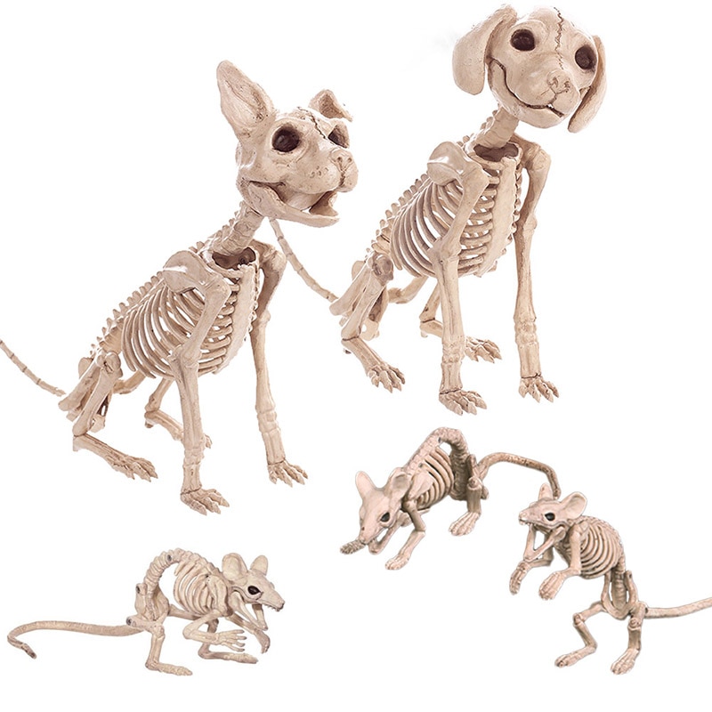 Drage hund slange edderkop halloween prop rædsel skelet dyr skelet knogler hjemsøgte hus flugt rædsel dekorationer