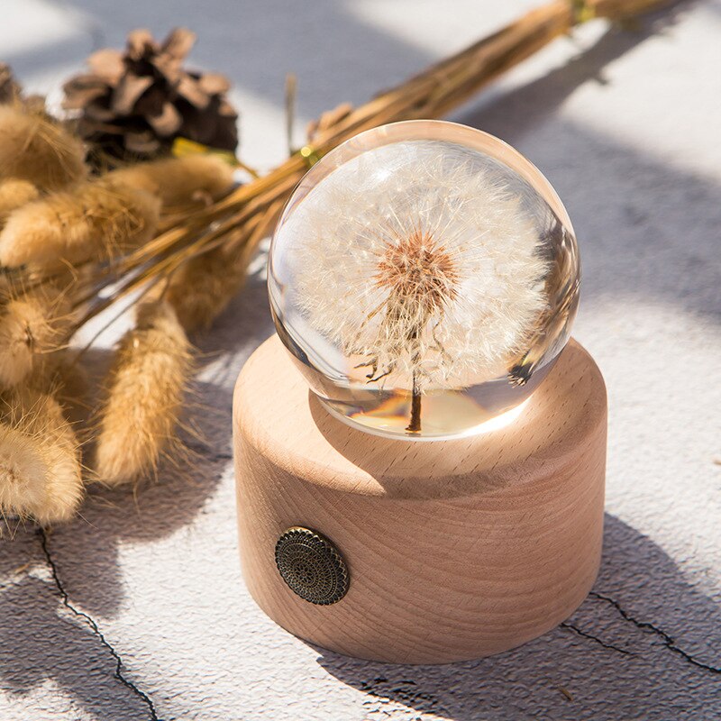 Echte Paardebloem Bloem Kristalglas Hars Lens Bal Met Stand Valentijnsdag Voor Vriendin Vrouwen Vrouw Kerst Voor Verjaardag: ball without light