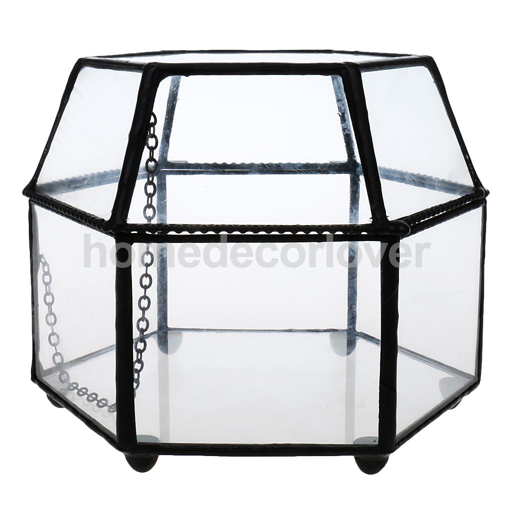 Irregular Glass Geometric Terrarium Box Tabletop Succulent Air Plant Fern Moss Pot Planter: 3