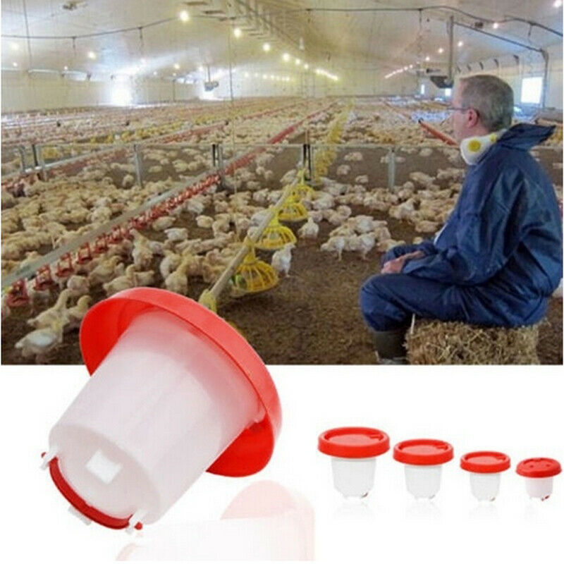 1 Pcs Chicken Drinking Cup Automatic Drinker Chicken Feeder Plastic Poultry Water Drinking Cups Easy Chicken Drinker 1.5/2.5/4L