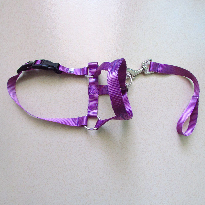 Collar de cabeza de entrenamiento con cuello Halter para perro, arnés de poliéster con cuello Halter, , ideal para cualquier temporada: Morado / M