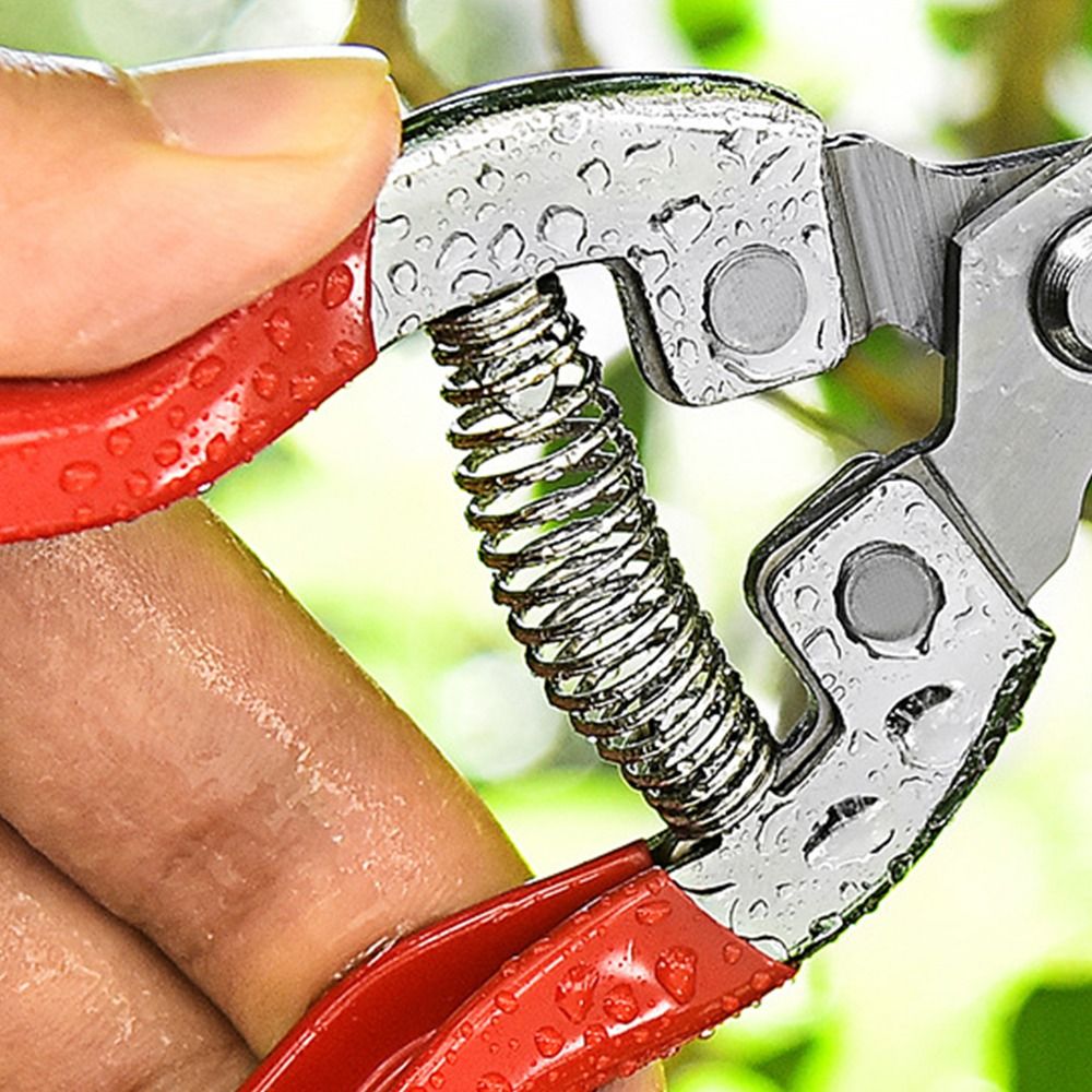 Tijeras para floristería, herramienta para podar árboles, podadora manual de jardinería, tijeras de jardín, recortadora de hojas, tijeras de podar rectas con micropunta, 1 Uds.