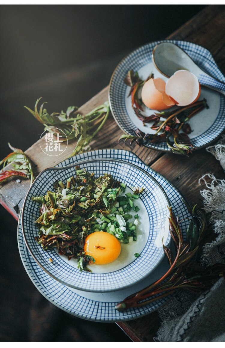 Keramische Schotel Plaat Handgeschilderde Diner Plaat Japanse Stijl Plaid Soep Plaat Salade Retro Creatieve Servies