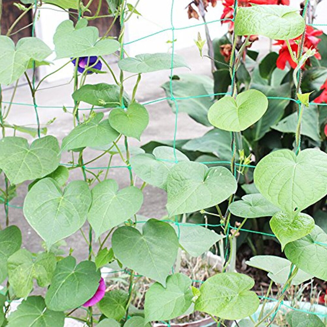 1.8m Green Garden Fence Mesh Plant Vines Climbing Net Garden Decoration Gardening Net Bird Net