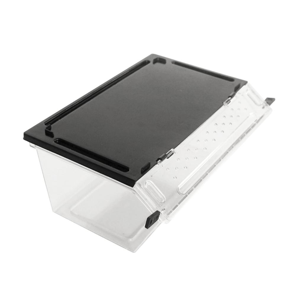 Di plastica Rettile Serpente ragno Lucertola Scorpione Millepiedi Cornuto Rana geco scarafaggio Insetto Allevamento Scatola Pendenza non-scontrino design