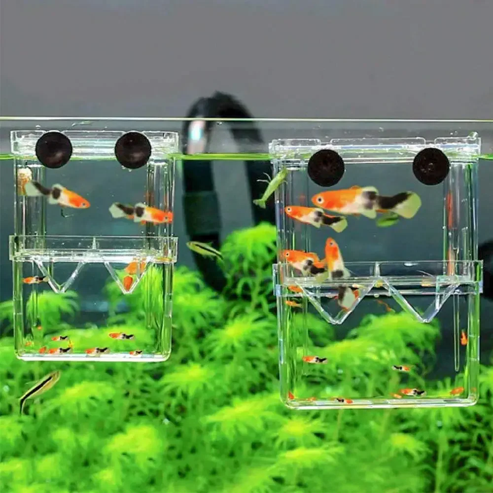 Caixa de criação de aquários de peixes, durável, betta, caixa de isolamento de criação de tanque de peixes, incubadora de incubação para bebês, peixes, camarão