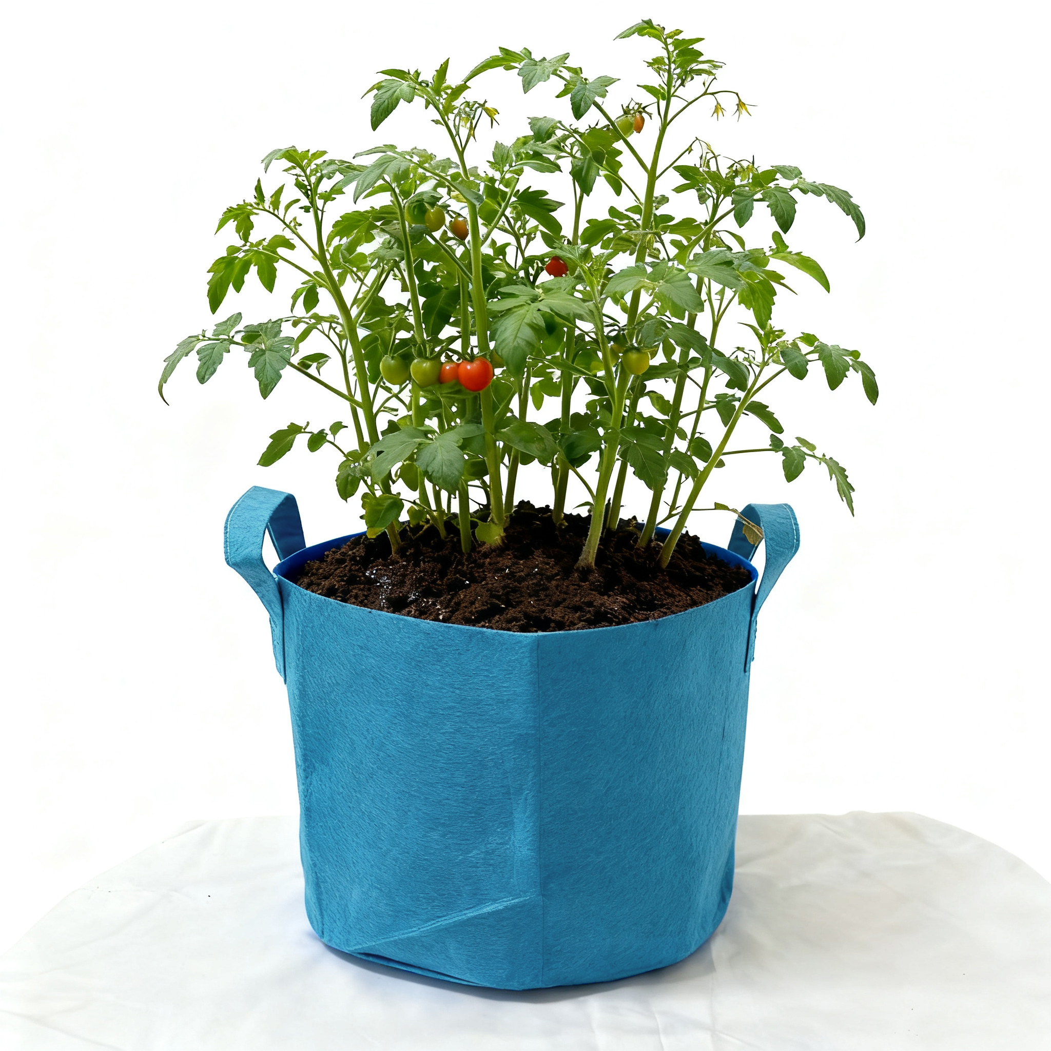 10 Gallon Grow Bags for Vegetable/Flower/Plant, 5 Gallon Aeration Fabric Pots with Handles Cloth Pots for Plants Garden: S / SKY BLUE