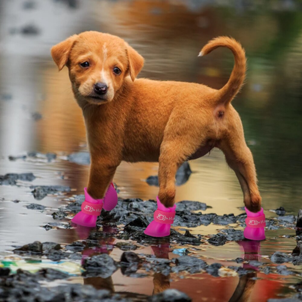 4 st/set hund regnskor husdjur hund tossor gummi anti-halk vattentät hund katt regnskor för små hundar chihuahua yorkshires