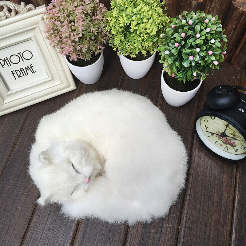 Levensechte Slapen Dieren Kat Pop Kitten Model Pluche Speelgoed Handwerk Decoratie Thuis Decoratie Kids Onderwijs Cognitie: White