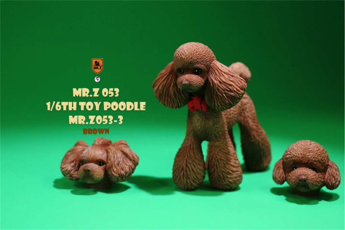 Mr.Z Studio 1:6 Schattige Speelgoed Poedel Hond Pet Figuur Canidae Diermodel Speelgoed Collector Simulatie Teddy Bureau Decoratie Mini: 003