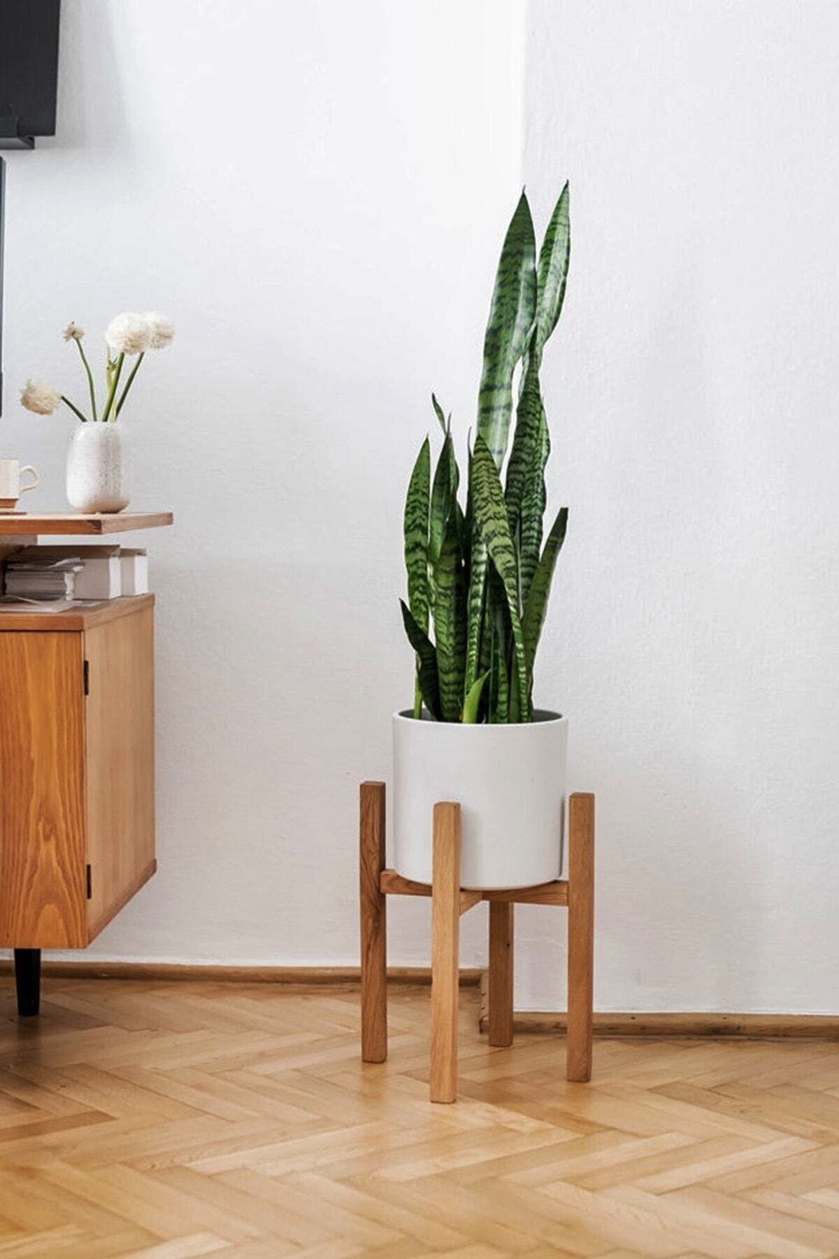 Solid Wood Flower Pot Six Jardiniere economic decorative