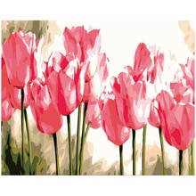 DIY Paint Tulips Digital DIY Painting Acrylic Paint Home Decoration Pink Tulips
