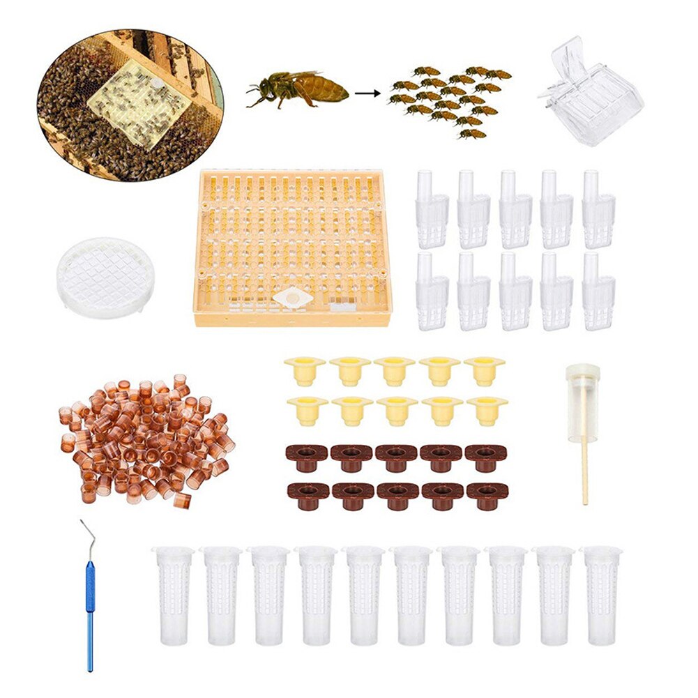 Beekeeping Bee Hive Smoker Kit Beekeeping Tools Equipment Set Queen Rearing System Cultivating Box Beehive Water Feeder: A