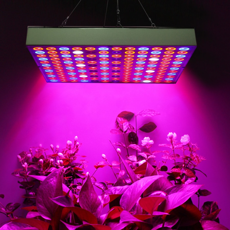 LED Grow Light Phyto Lamp Full Spectrum Plant Ligh... – Vicedeal