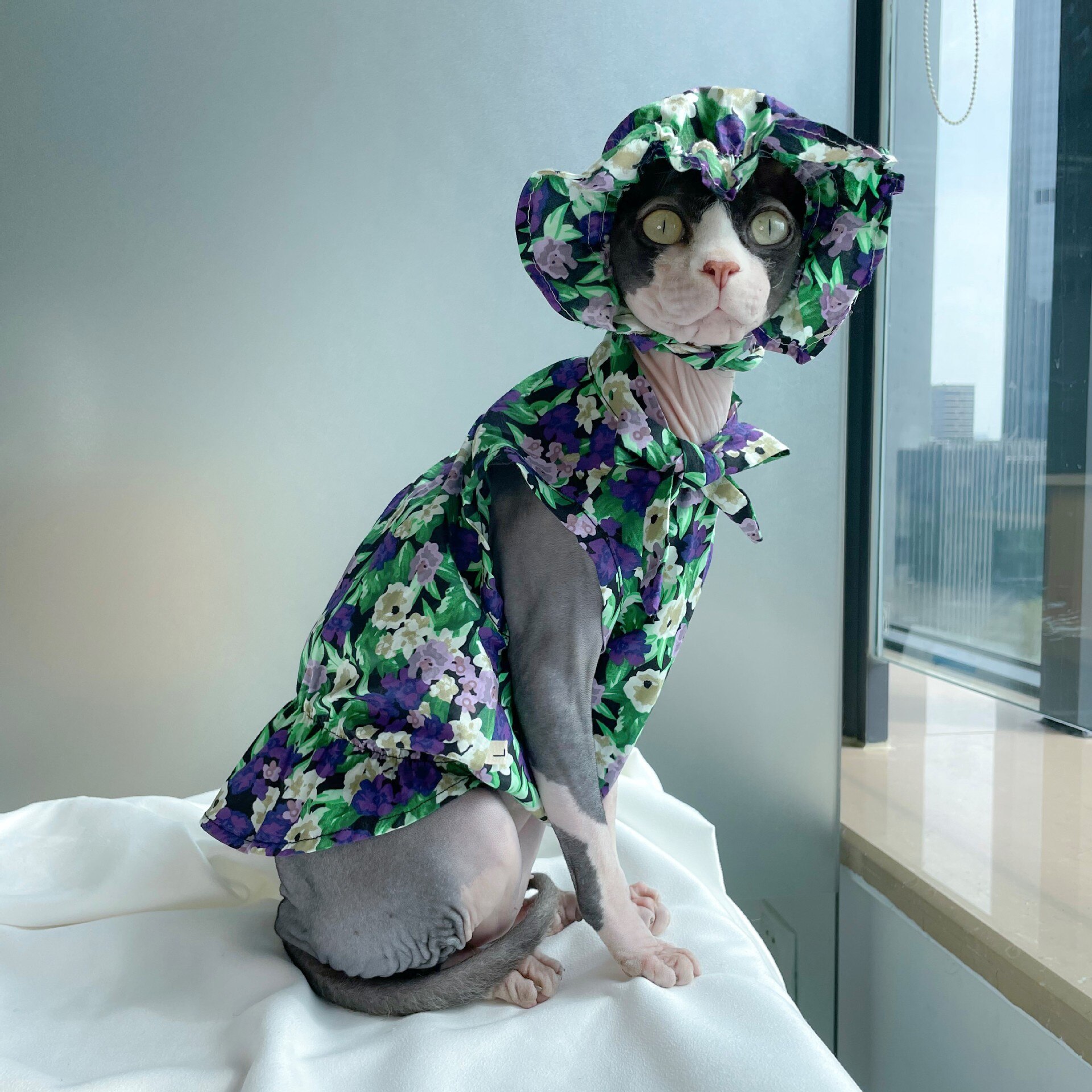 Koszula dla kotów letnia cienka sukienka dla zwierzaka sukienka kwiatowa sfinks bezwłosowa czapka dla kota zestaw stroju kota