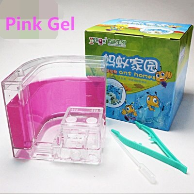 LED Ant Farm Home Ecological Insect Ecology Box Science Educational for Children Ants Pet Toys Reptile 6 Colors Ant Nest: pink