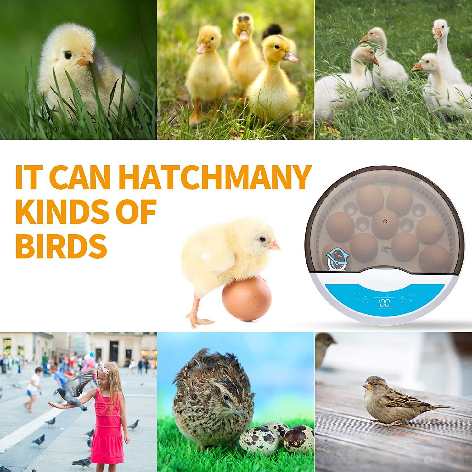 220V/110V Eggs Incubator Brooder Bird Quail Chick Hatchery Incubator Poultry Hatcher Turner Automatic Farm Incubation Tools