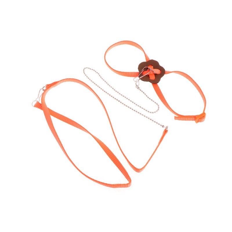 Parrot Bird Leash Outdoor Adjustable Harness Training Rope Anti Bite Flying Band