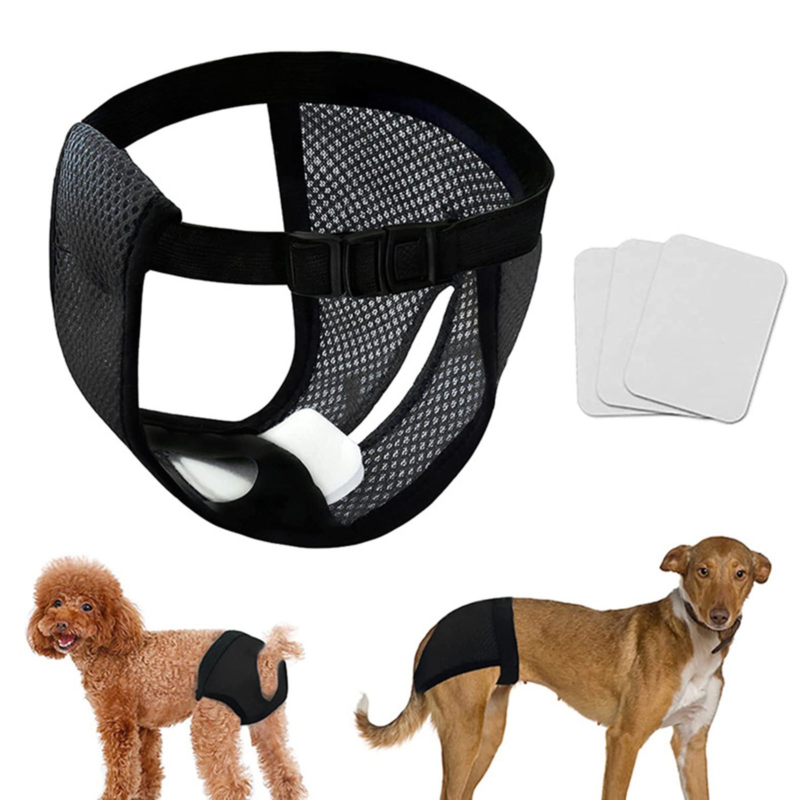 Culotte pour chien femme avec 3 tampons en coton, couches réutilisables, pantalon physiologique en maille respirante pour animaux de compagnie, pour petits, moyens et grands chiens: S / Black