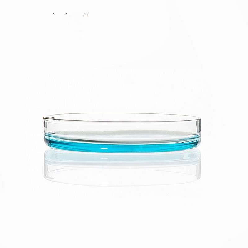 10Pcs 1lot/ glass petri dish borosilicate glass transparent with cover high temperature resistance for 60mm
