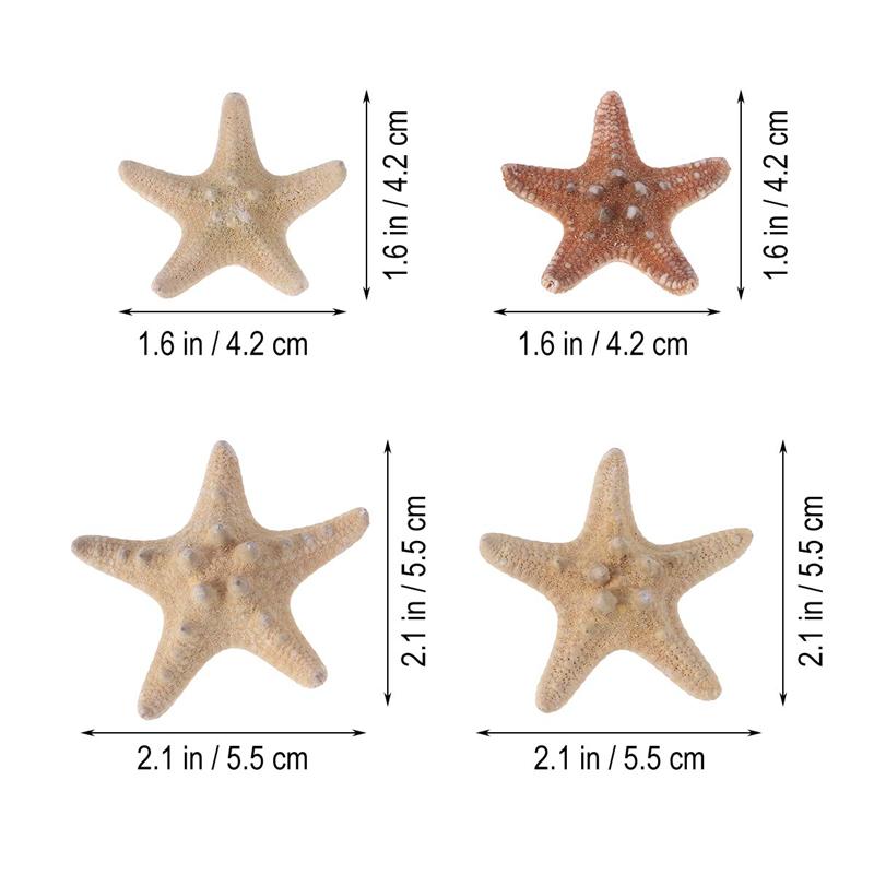 4Pcs Sea Star Carfts Decoratie Diy Strand Huisje Decor Zee Shell Voor Bruiloft Fotografie Party Home Decoratie (4-6Cm)