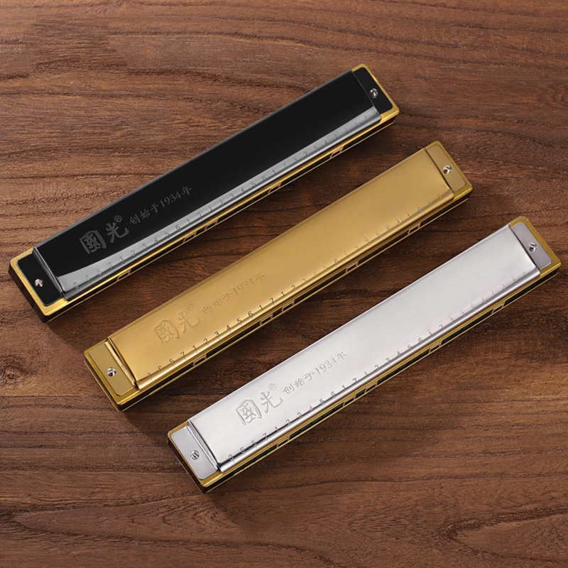 Blues Harmonica in C, 28 Holes Harp Diatonic Harmonica, Mouth Organ Harmonica