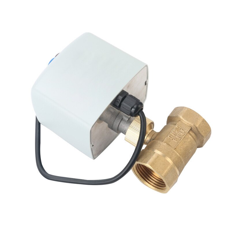 1/2&quot; 3/4&quot; 1&quot; 2&quot; Motorized Ball Valve 220V 12V 24V 3-Wire 2 Control Brass Electric Ball Valve Big Torque