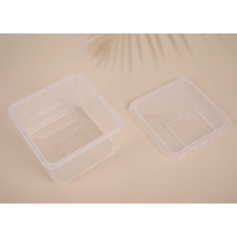 Caja de alimentación para Terrario de lagartos, jaula para reptil, contenedor para incubar, contenedor de cría para Terrario de lagartos, Araña, insecto escarabajo, casa, 1 ud.