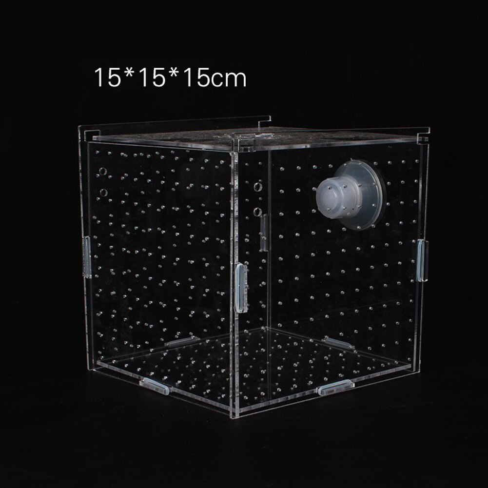 Single Grid Breeding Box Incubator Isolation Hairtail Nursery House Aquarium Accessaries: 15x15x15cm