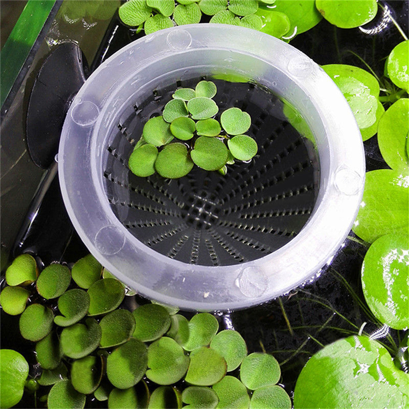 4x akvarium röd maskmatare konmatning för fisketank ängelfisk diskusfisk