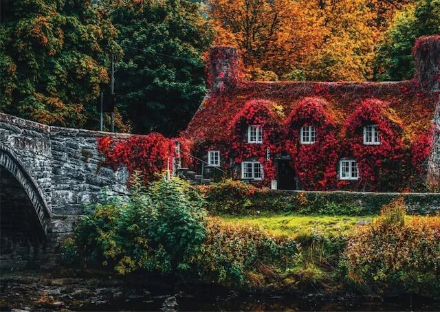 Ritoys Ivy Red Thuis Landschap 1000 Stuk Puzzel Puzzel 434193978