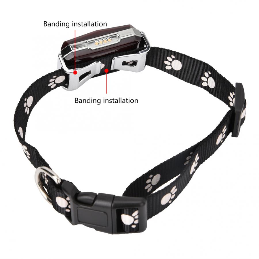 Bärbar gps husdjur valp gps 365 bluetooth wifi realtids spårning plats anti-förlorad halsband