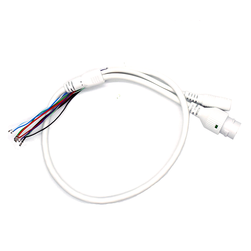 Caméra de carte de câble de queue de cochon de caméra IP de télévision en circuit fermé étendent le câble RJ45 + câble réseau cc Ethernet et Port d'alimentation pour le Module de caméra IP AR-W
