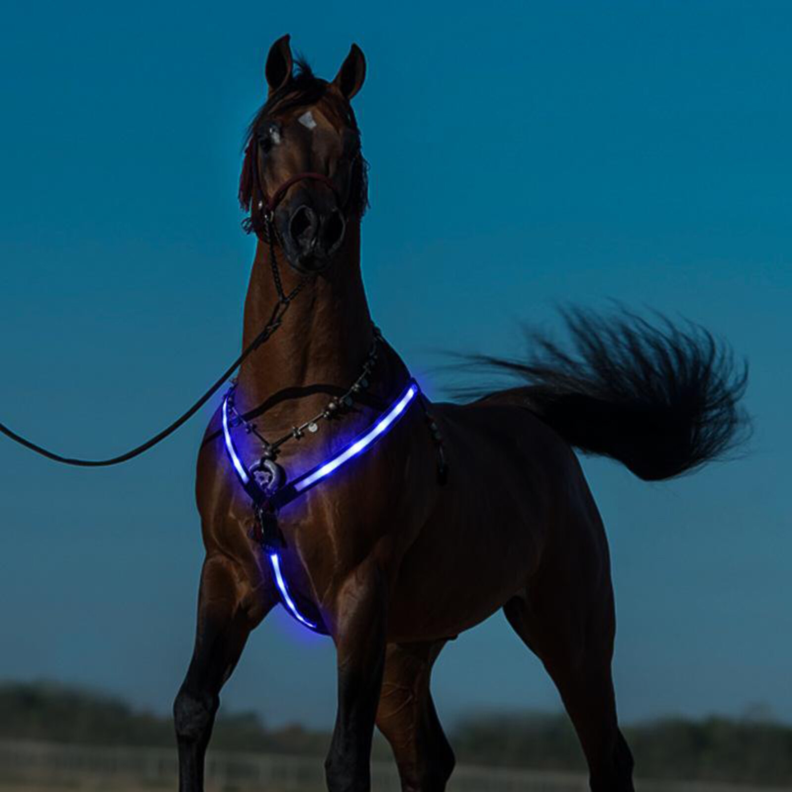 Hi Viz Horse LED Breastplate Collar Halter Harness Adjustable Reflective Equestrian Breastplate Collar Strap